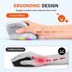 Meetion MT-BTM010R Δεξί Εργονομικό Ασύρματο Ποντίκι Λευκό + Γκρι - Image 8