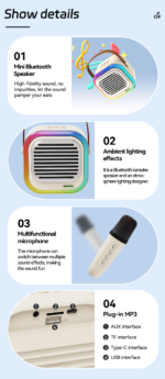 ATC-12 Ασύρματο Ηχείο Καραόκε 10W RGB - Image 12