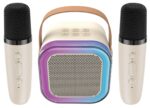 ATC-13 Ασύρματο Ηχείο Καραόκε με 2 Μικρόφωνα 5W RGB