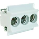 Geyer NEOZED βάση ασφαλειών 3P 63Α - Image 2