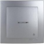 Geyer Ασημί μπουτόν με ενδεικτική λυχνία