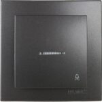 Geyer Ανθρακί μπουτόν κουδουνιού με ενδεικτική λυχνία 12V - Image 2