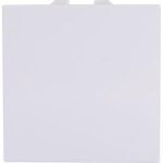 Geyer Μεσαίος Α/Ρ 2 θέσεων Λευκός 10ΑΧ 250V - Image 2