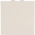 Geyer Μπουτόν 2 θέσεων Ιβουάρ 10ΑΧ250V