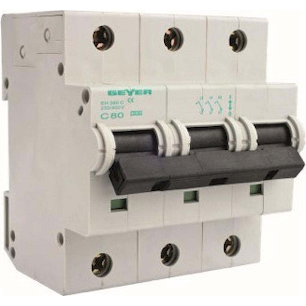 EH300C_4 Geyer Αυτόματη ασφάλεια 3P C 100A 10kA - Image 1