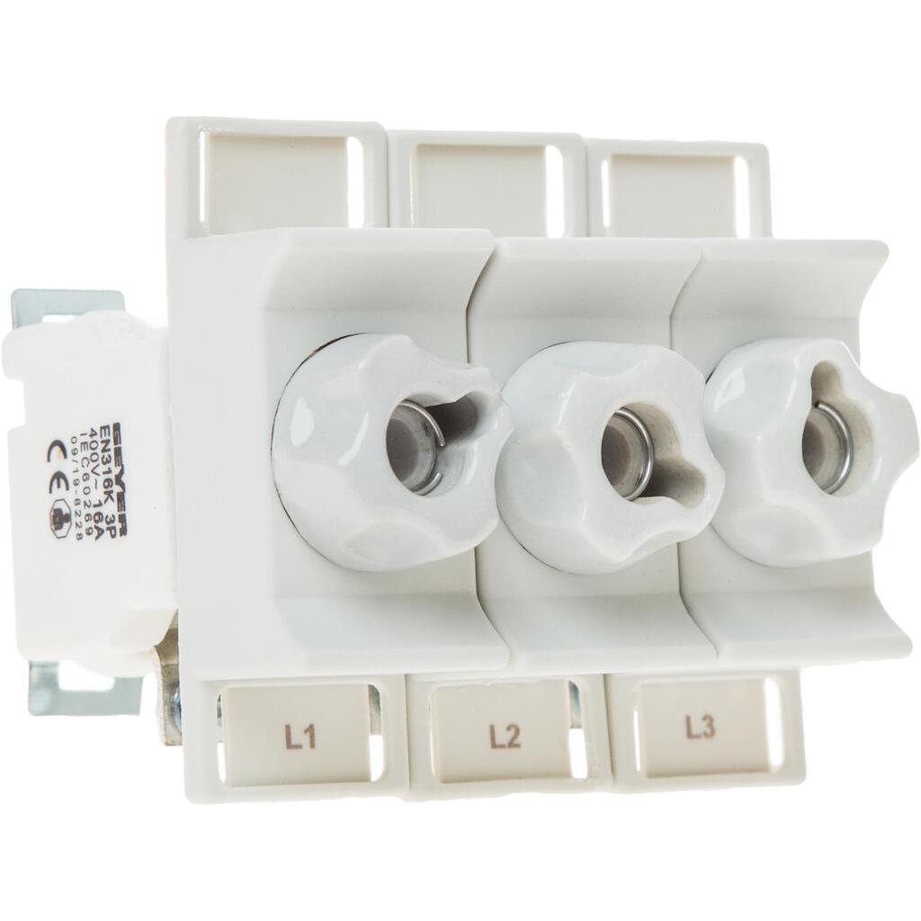 EN316K_4 Geyer Βάση ασφαλειών NEOZED D01 3P 16A με πώμα - Image 1