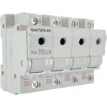 Geyer Ασφαλοδιακόπτης NEOZED D02 3P+N 63A