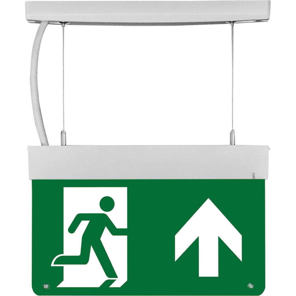 LE-229HK_2 Geyer Κιτ ανάρτησης για LED φωτιστικό ασφαλείας LE-229 - Image 1