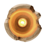 ΦΩΤΙΣΤΙΚΟ FUJI - Image 4