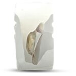 Geyer Ταινία LED Neon 14.4W 24V 4000K 1400lm IP67 10x23mm - Image 3