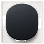 EON E6052.E1 Double pole switch without cover frame soft-touch black - Image 4