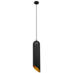 GLOBOSTAR® CARSON 01529 Μοντέρνο Κρεμαστό Φωτιστικό Οροφής με Ντουί 1 x E27 AC 220-240V IP20 - Μαύρο & Χρυσό - Μ15 x Π15 x Υ68cm - Image 3
