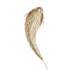 GLOBOSTAR® GOURAMI 02359 Boho Φωτιστικό Τοίχου - Απλίκα με Ντουί 1 x E27 AC 220-240V IP20 - Μπεζ - Μ98 x Π33 x Υ22.5cm - Image 4