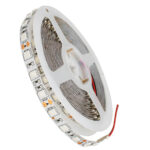 GLOBOSTAR® LUMAR 70028 Ταινία LED 14.4W/m 936lm/m 120° DC 12V IP20 60 x SMD5050 Chip/m Ultraviolet UV Black Light Dimmable - Sanan SMD Chip - Μ500 x Π1 x Υ0.2cm - Ρολό 5 Μέτρων - 5 Χρόνια Εγγύηση - Image 2