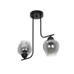GLOBOSTAR® GLOSSA 201-0091 Vintage Φωτιστικό Οροφής με Ντουί 2 x E27 AC 220-240V IP20 - Μαύρο & Μαύρο Φιμέ - Μ40 x Π15 x Υ17cm - Image 2