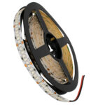 GLOBOSTAR® LUXA 70244 Ταινία LED 16W/m 1280lm/m 120° DC 24V IP20 240 x SMD2835 Chip/m Κόκκινο Dimmable - Sanan SMD Chip - Μ500 x Π1 x Υ0.2cm - Ρολό 5 Μέτρων - 5 Χρόνια Εγγύηση - Image 2