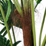 GloboStar® Artificial Garden PALM TREE 20014 Τεχνητό Διακοσμητικό Φυτό Φοινικόδεντρο Βεντάλια Υ210cm - Image 4