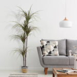 GloboStar® Artificial Garden DRAGON BLOOD TREE 20016 - Τεχνητό Διακοσμητικό Φυτό Δράκαινα Υ180cm - Image 4