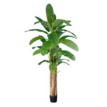 GloboStar® Artificial Garden BANANA TREE 20019 - Τεχνητό Διακοσμητικό Φυτό Μπανανιά - Μπανανόδεντρο Υ280cm - Image 2