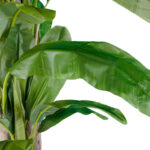 GloboStar® Artificial Garden BANANA TREE 20019 - Τεχνητό Διακοσμητικό Φυτό Μπανανιά - Μπανανόδεντρο Υ280cm - Image 3