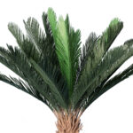 GloboStar® Artificial Garden CYCADS 20023 Τεχνητό Διακοσμητικό Φυτό Αρωματική Κύκας Υ140cm - Image 3