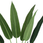 GloboStar® Artificial Garden STRELITZIA 20029 Τεχνητό Διακοσμητικό Φυτό  Στρελίτσια - Πουλί του Παραδείσου Υ140cm - Image 3