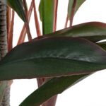 GloboStar® Artificial Garden MELANY FICUS 20040 Τεχνητό Διακοσμητικό Φυτό Φίκος Υ120cm - Image 3