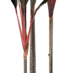 GloboStar® Artificial Garden MELANY FICUS 20040 Τεχνητό Διακοσμητικό Φυτό Φίκος Υ120cm - Image 4
