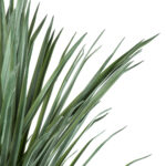 GloboStar® Artificial Garden BEAUCARNEA PALM TREE 20046 Τεχνητό Διακοσμητικό Φυτό Κυρτόφυλλος Μπουκαρνέα Υ165cm - Image 3
