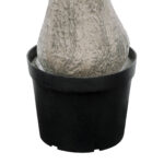 GloboStar® Artificial Garden BEAUCARNEA PALM TREE 20046 Τεχνητό Διακοσμητικό Φυτό Κυρτόφυλλος Μπουκαρνέα Υ165cm - Image 6