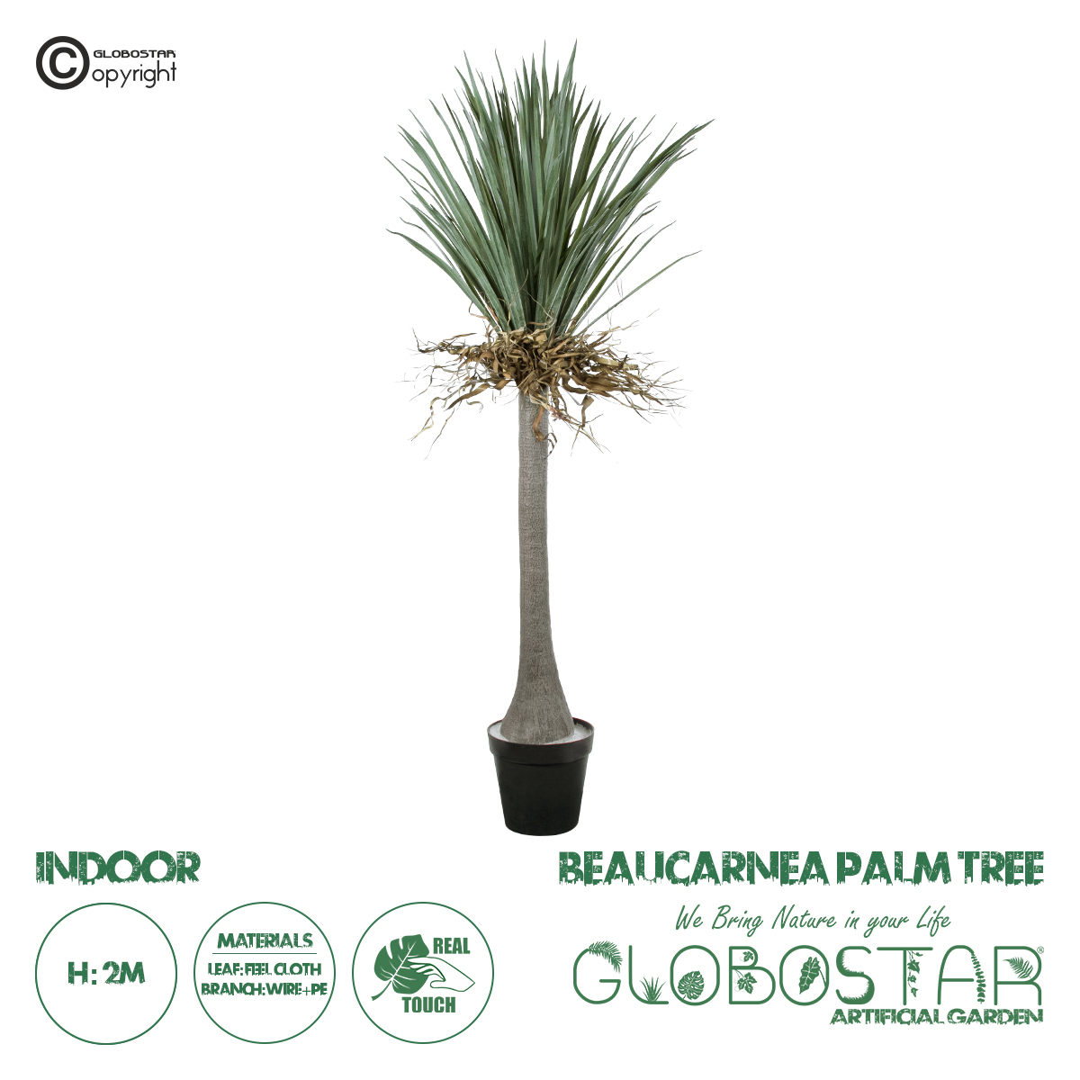 20047_1 GloboStar® Artificial Garden BEAUCARNEA PALM TREE 20047 Τεχνητό Διακοσμητικό Φυτό Κυρτόφυλλος Μπουκαρνέα Υ200cm - Image 1