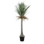GloboStar® Artificial Garden BEAUCARNEA PALM TREE 20047 Τεχνητό Διακοσμητικό Φυτό Κυρτόφυλλος Μπουκαρνέα Υ200cm - Image 2