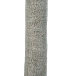 GloboStar® Artificial Garden BEAUCARNEA PALM TREE 20047 Τεχνητό Διακοσμητικό Φυτό Κυρτόφυλλος Μπουκαρνέα Υ200cm - Image 5