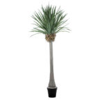 GloboStar® Artificial Garden BEAUCARNEA PALM TREE 20048 Τεχνητό Διακοσμητικό Φυτό Κυρτόφυλλος Μπουκαρνέα Υ250cm - Image 2