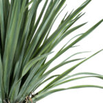 GloboStar® Artificial Garden BEAUCARNEA PALM TREE 20048 Τεχνητό Διακοσμητικό Φυτό Κυρτόφυλλος Μπουκαρνέα Υ250cm - Image 3