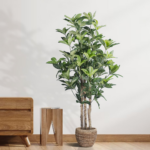 GloboStar® Artificial Garden FORTUNE GUIANA TREE 20056 Τεχνητό Διακοσμητικό Φυτό Καστανιά του Μαλαμπάρ Υ160cm - Image 5
