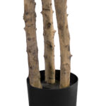 GloboStar® Artificial Garden FORTUNE GUIANA TREE 20056 Τεχνητό Διακοσμητικό Φυτό Καστανιά του Μαλαμπάρ Υ160cm - Image 4