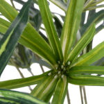 GloboStar® Artificial Garden BROADLEAF LADY PALM 20059 Τεχνητό Διακοσμητικό Φυτό Πλατύφυλλος Φοίνικας Μπαμπού Υ50cm - Image 3