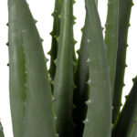 GloboStar® Artificial Garden ALOE 20064 Τεχνητό Διακοσμητικό Φυτό Αλόη Υ38cm - Image 3
