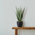 GloboStar® Artificial Garden ALOE 20066 Τεχνητό Διακοσμητικό Φυτό Αλόη Υ65cm - Image 5