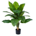 GloboStar® Artificial Garden ROHDEA JAPONICA 20068 Τεχνητό Διακοσμητικό Φυτό Ιαπωνέζικη Ροδέα Υ80cm - Image 2