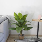GloboStar® Artificial Garden ROHDEA JAPONICA 20068 Τεχνητό Διακοσμητικό Φυτό Ιαπωνέζικη Ροδέα Υ80cm - Image 5