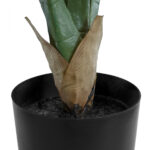 GloboStar® Artificial Garden ROHDEA JAPONICA 20068 Τεχνητό Διακοσμητικό Φυτό Ιαπωνέζικη Ροδέα Υ80cm - Image 4