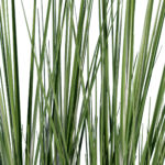 GloboStar® Artificial Garden PAMPAS GRASS 20071 Τεχνητό Διακοσμητικό Φυτό Γρασίδι της Πάμπας Υ150cm - Image 3