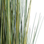 GloboStar® Artificial Garden PAMPAS GRASS 20072 Τεχνητό Διακοσμητικό Φυτό Γρασίδι της Πάμπας Υ170cm - Image 3