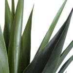 GloboStar® Artificial Garden SISAL AGAVE 20078 Τεχνητό Διακοσμητικό Φυτό Αγαύη Υ110cm - Image 3