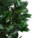 GloboStar® Artificial Garden LAUREL 20084 Τεχνητό Διακοσμητικό Φυτό Δάφνη Υ120cm - Image 3