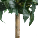 GloboStar® Artificial Garden LAUREL 20084 Τεχνητό Διακοσμητικό Φυτό Δάφνη Υ120cm - Image 4