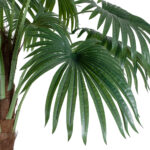 GloboStar® Artificial Garden PALM TREE 20086 Τεχνητό Διακοσμητικό Φυτό Φοινικόδεντρο Βεντάλια Υ300cm - Image 3
