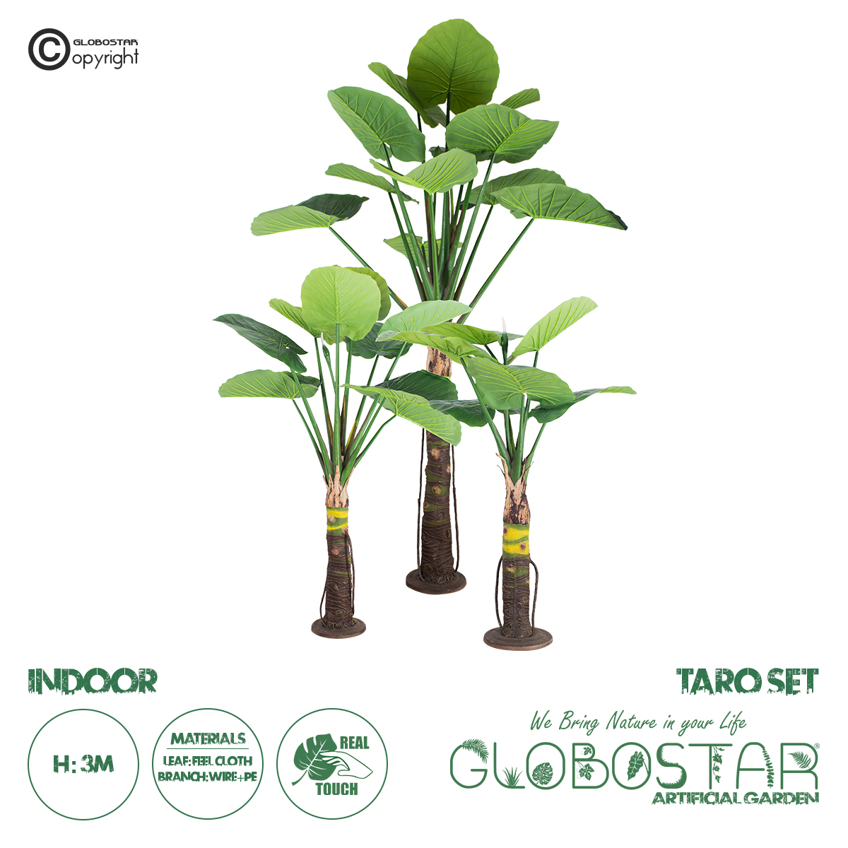 20089_1 GloboStar® Artificial Garden TARO SET 20089 Τεχνητό Διακοσμητικό Σετ Φυτών Κολοκασία A:Υ300cm B:Υ210cm C:Υ160cm - Image 1